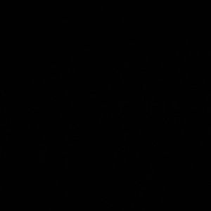 Meet your Posher, Nicholas